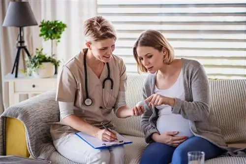 Напротехнология как альтернатива in vitro? Что такое напротехнология?