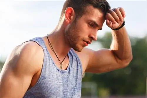 Вы сильно потеете в жаркую погоду? 7 простых советов, как справиться с чрезмерной потливостью