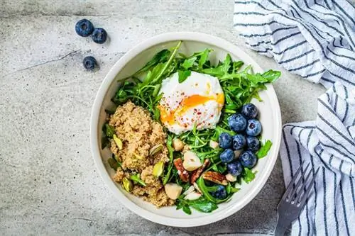 палеодиета