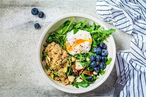 Палеодиета для активных людей – преимущества и недостатки. Что можно есть на палеодиете?