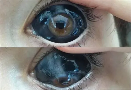 Татуаж глаз: как это делается и безопасно ли это? Узнайте историю девушки, которая чуть не потеряла зрение