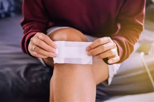 Серозный экссудат – что это такое и когда он образуется?