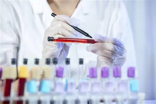 Бесплатные тесты на аллергию для детей и подростков