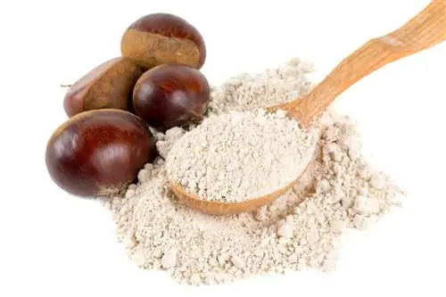 Каштановая мука – пищевая ценность. Как сделать каштановую муку?