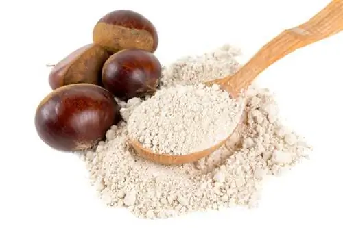 Каштановая мука - пищевая ценность. Как сделать каштановую муку?