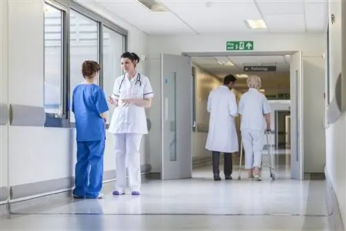 БОЛЬНИЧНАЯ СЕТЬ - что это такое? Какие больницы есть в сети?