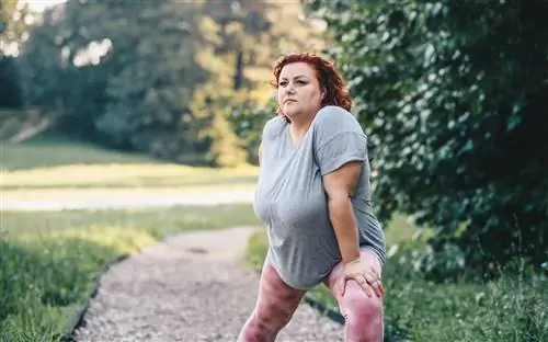 Вы пытаетесь похудеть и терпите неудачу? Ученые знают причину