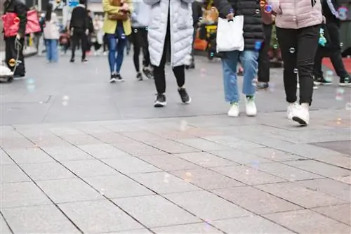 Вариант Omikron в Польше. Текущее количество случаев указано