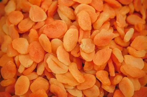 1. Курага - 1666 мг/100 г.