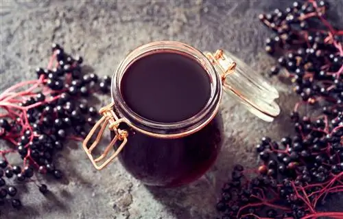 ЧЕРНАЯ бузина от ПРОСТУСЫ: чай и сок бузины