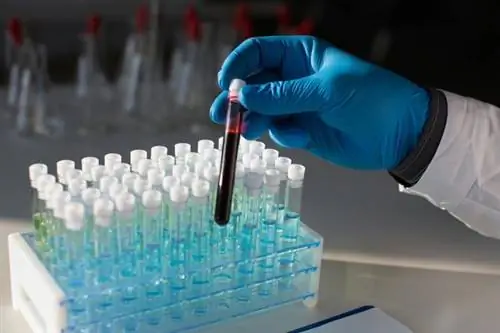 Образец крови