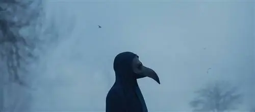 Чума - причины, симптомы, лечение