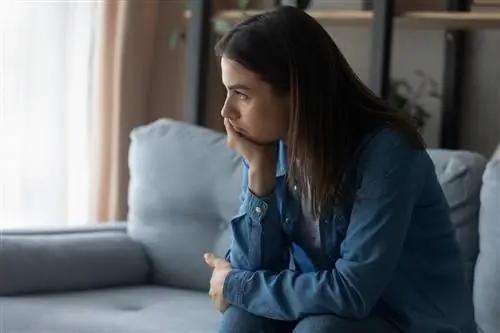 Параноидальная шизофрения - причины, симптомы и лечение