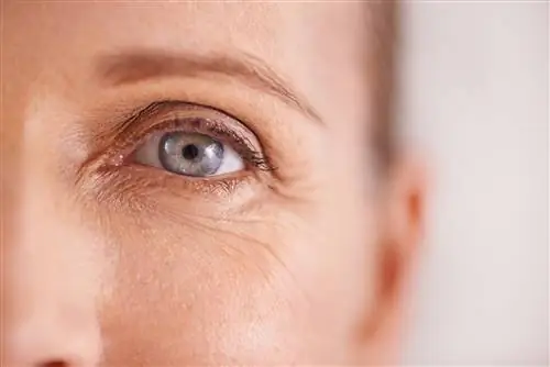 Паранеопластическая ретинопатия (CAR) - причины, симптомы и лечение