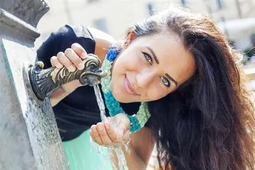 Вчасово-Лечебный центр Вапенне