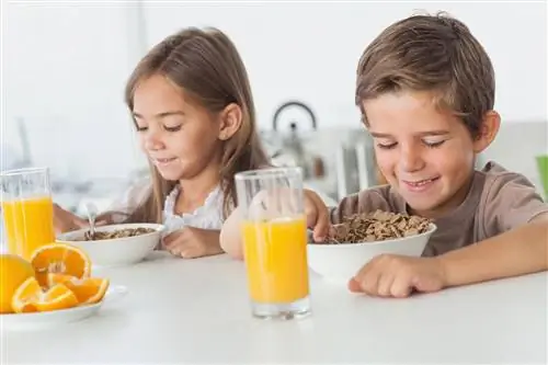 Центр лечения детского ожирения "Ягуся" Кудова-Здруй