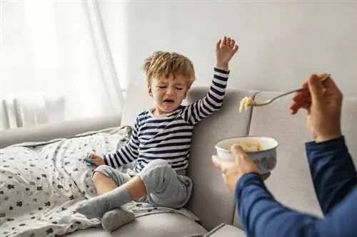 Ребенок не хочет есть