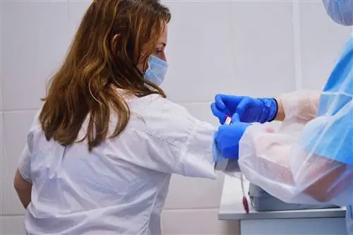 Новое исследование: Раннее введение реконвалесцентной плазмы защищает пациентов с COVID-19 от госпитализации