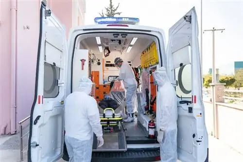 Каково реальное число жертв COVID-19 в Польше? Комментарии эксперта