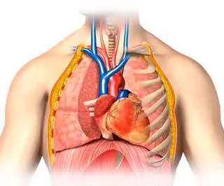 Аневризма легкого: причины и симптомы. Лечение больных с аневризмой легочного ствола