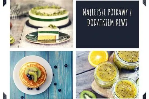 Лучшие блюда с добавлением киви