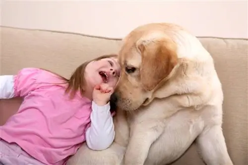 «Спасибо, что пришли к нам», или доготерапия в польских детских больницах