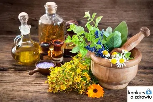 Соревнование! Выиграйте 1 из 10 книг «Травы для иммунитета» от Dr. Моника Фиалек