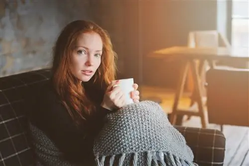 Иммунная система: структура. Как работает иммунная система?