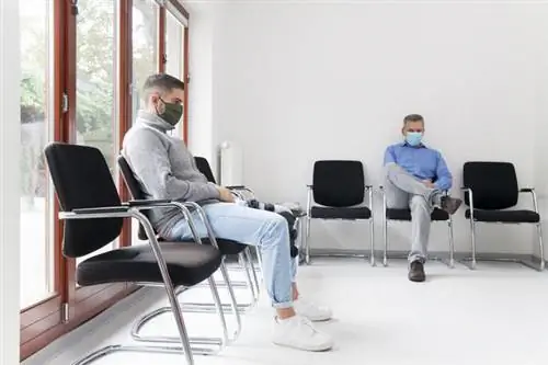 Рак яичка - причины, профилактика, симптомы Рак яичка - причины, профилактика, симптомы