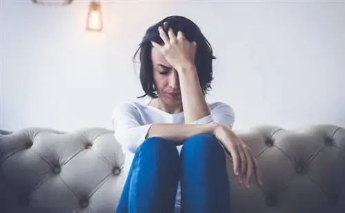 Личность увеличивает риск болезни Альцгеймера? Даны две черты характера