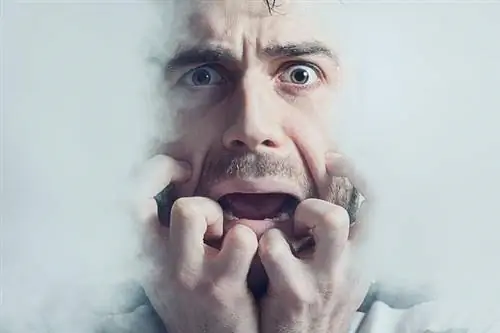 Злокачественный нейролептический синдром - серьезная угроза жизни