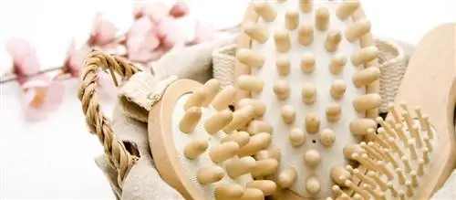 Массажер от целлюлита - какой выбрать? Преимущества антицеллюлитного массажа