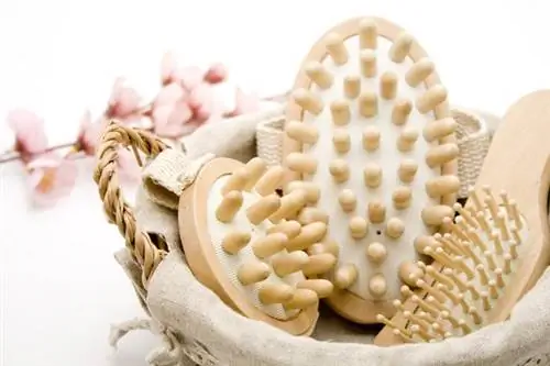 Массажер от целлюлита - какой выбрать? Преимущества антицеллюлитного массажа