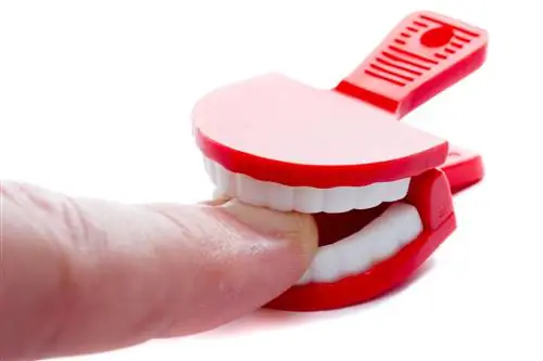 Терапия избавления от привычек - поможет m. при тиках и обкусывании ногтей