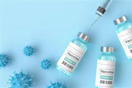 Как долго защищает вакцина Pfizer BioNTech? Есть новые данные