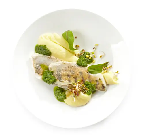 Судак – пищевая ценность и свойства