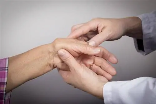 Ревматолог: чем занимается ревматолог?