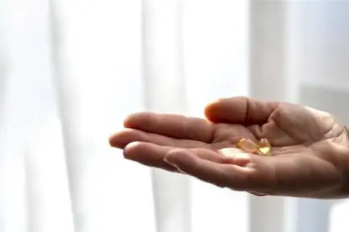 Сквален - натуральный препарат из печени акулы