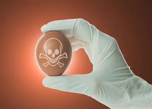 Зараженные яйца. Опасен ли фипронил в яйцах?