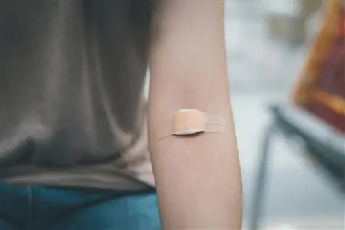 Анализы крови: 6 причин сдать кровь на анализ