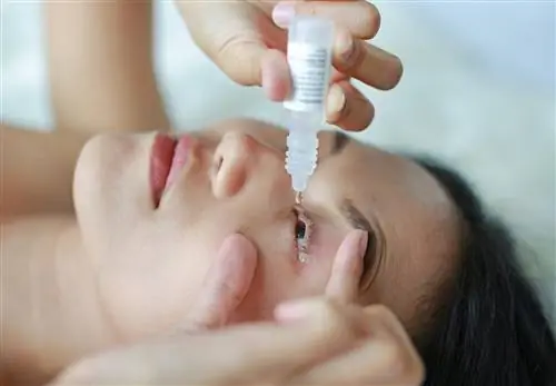 Причины и симптомы синдрома Шегрена. Лечение синдрома сухости