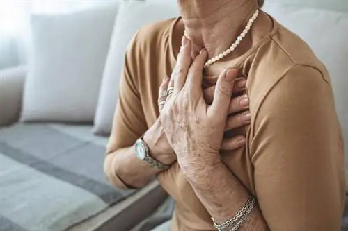 сердечные заболевания