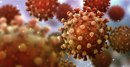 Может ли вариант Delta мутировать в коронавирус MERS