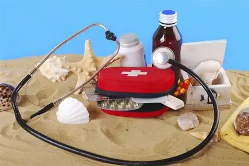 НЕБОЛЬШИЕ ТРАВМЫ летом - что делать, чтобы не испортить себе настроение в ПРАЗДНИК