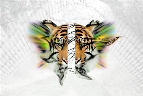 ЛСД (лизергиновая кислота) вызывает привыкание! Симптомы и последствия употребления наркотиков