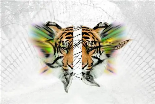 ЛСД (лизергиновая кислота) вызывает привыкание? Симптомы и последствия употребления наркотиков