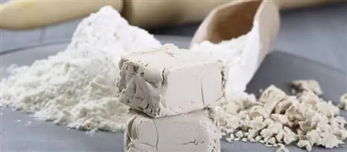 Дрожжи от прыщей и волос. Какими еще свойствами обладают дрожжи?