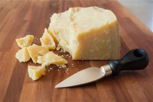 Сыр пармезан: сыр из коровьего молока. Сколько в нем калорий?