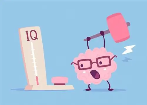 Онлайн-тест IQ: проверь свой интеллект! Что такое IQ-тест?