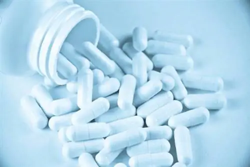 Акодин вызывает привыкание. Популярное лекарство от кашля акодин действует как наркотик